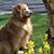 Julie Caffrey's profile image
