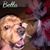 Sandra Bennett's profile image
