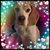 Anna Mendoza's profile image
