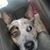 Laresa M. Griffin's profile image