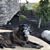 Sheila Parrish Vaughn's profile image