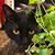Kat Bickel-Hurley's profile image