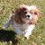 Claire Kelly Comeaux's profile image