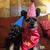 Monica Hernandez-Rodriguez's profile image