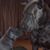 Renee Longo's profile image