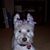 Jeanne Wadsworth's profile image
