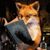 Ahsennur Soysal's profile image