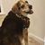 Jen McManus Dudek's profile image