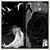 Cristy Sanchez's profile image