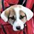 S. Renee Ferguson Summers's profile image