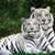 Susan Kovach's profile image
