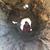 Olivia Harrington's profile image