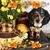 Melanie Mock's profile image