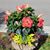 Diane Moss Overstreet's profile image