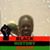 Hazell Green's profile image