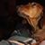 Adrienne Hewes's profile image