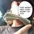 Ricky Hartung's profile image