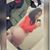Sidney Sunshine's profile image