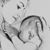 Pamela Corona Herdz's profile image