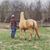 Jarred A. Gardner's profile image