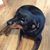 Riggbee Smith's profile image