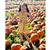 Grace Sanchez-Quesada's profile image