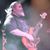 Keith Farnum's profile image