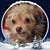 Carla Brame's profile image
