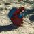 Micah H. Treptau's profile image