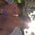 Beverly Weir's profile image