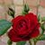 John Spiers's profile image