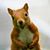 April Wren's profile image