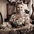 Anna Vanderleest's profile image