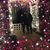 Jeanne Kosco's profile image