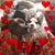 Joanna Conn's profile image