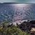Sue Fenster's profile image