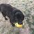 Joanna Luce's profile image