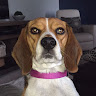 Brandon B.'s profile image