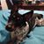 Wendy Hall Blough's profile image