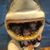 Rebecca Meuse's profile image