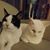 Christine Stout-Smuck's profile image