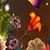 Tiffany Reinard's profile image