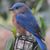 Carl M. Dozier's profile image
