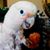 Dawn Plumley's profile image