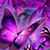 Mary Jo Bennett's profile image