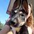 Chenoa Siegenthaler's profile image
