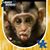 Kristi Jo's profile image