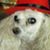Kay Poling's profile image