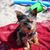 Kay L. Lavelle's profile image