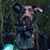 Stephen Roberts's profile image